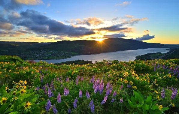 Picture the sky, the sun, clouds, sunset, flowers, mountains, river, blue, dawn, hills, shore, view, yellow, …