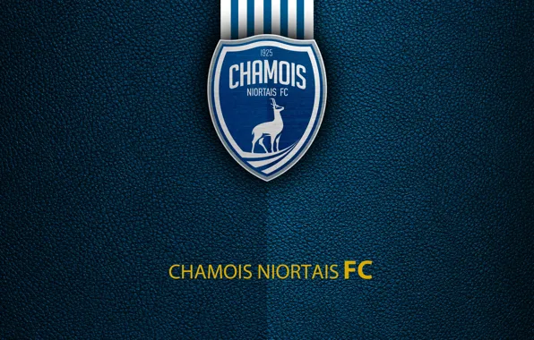 Picture wallpaper, sport, logo, football, Ligue 1, Chamois Niortais