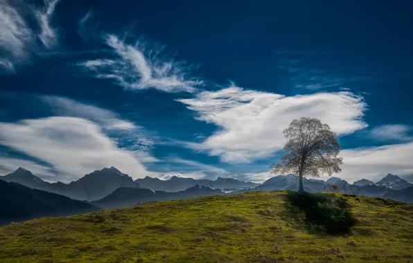 Picture the sky, clouds, tree, hill