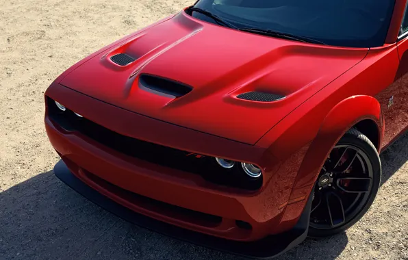 Picture Dodge, Challenger, front view, Widebody, Scat Pack, Challenger RT, 2019