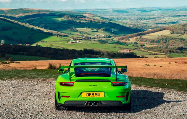 Picture 911, Porsche, rear view, 2018, GT3 RS