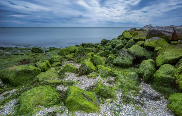 Picture stones, coast, moss, Netherlands