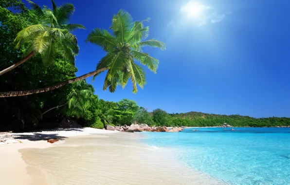 Picture sand, sea, beach, the sun, palm trees