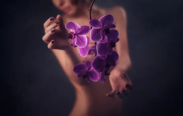 Picture BODY, GIRL, HANDS, FLOWERS, SILHOUETTE, ORCHIDS