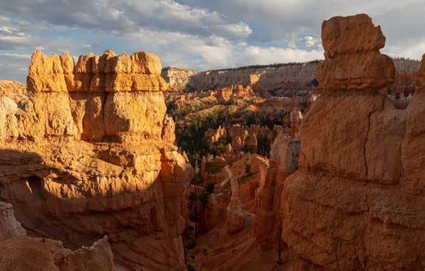 Picture nature, rock, canyon, canyon, national park, Bryce