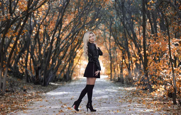 Picture autumn, trees, pose, blonde, alley, gesture, trees, beautiful girl, autumn, leg warmers, beautiful girl, blonde, …
