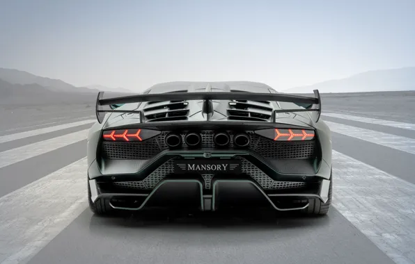 Picture Lamborghini, supercar, rear view, Aventador, Mansory, 2020, SVJ, Cabrera