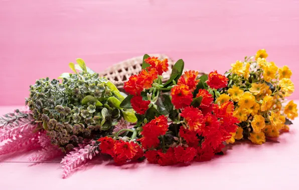 Picture flowers, bouquet, chrysanthemum