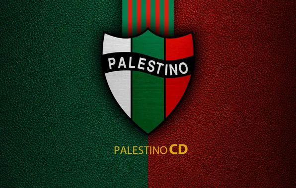 Picture wallpaper, sport, logo, football, Club Deportivo Palestino