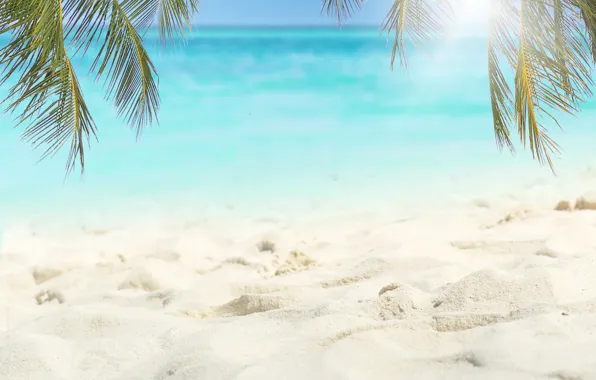 Picture sand, sea, beach, summer, the sky, the sun, palm trees, shore, summer, beach, sea, seascape, …