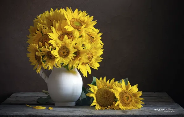 Picture sunflowers, yellow, bouquet