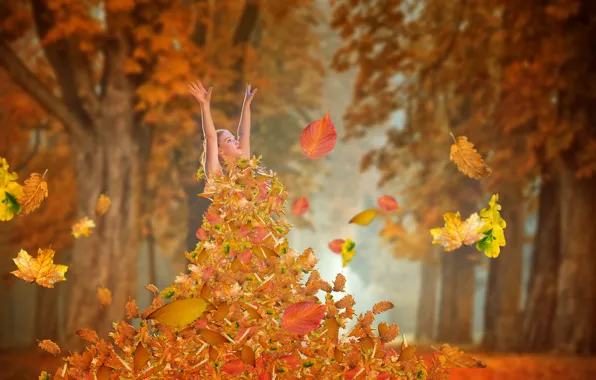 Picture autumn, forest, girl, foliage