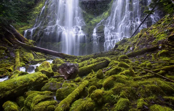 Picture rock, stones, waterfall, moss, Oregon, cascade, Oregon, logs, Proxy Falls, Waterfalls Proxy