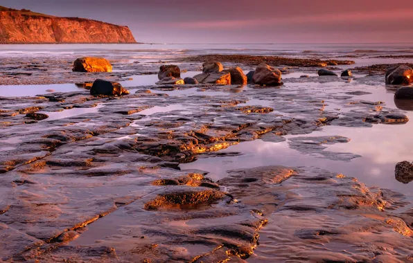 Picture sea, stones, shore, the evening, surf, stones, pink tones