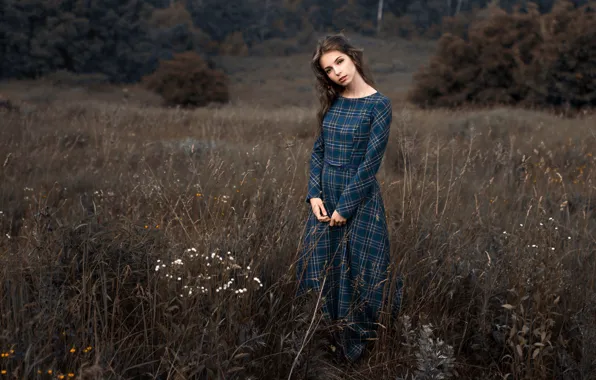 Picture field, dress, Tanya, Forest Albert