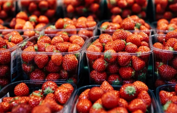 Picture berries, strawberry, a lot, market, shop, bokeh, selling, in trays