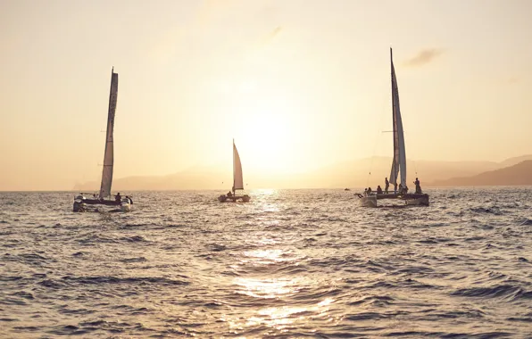 Picture the sun, the ocean, coast, sport, morning, sails, regatta, catamarans