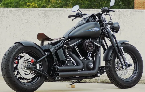 Picture Harley-Davidson, Custom, Motorcycle