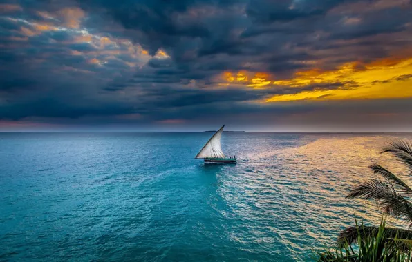 Picture sea, sunset, sailboat