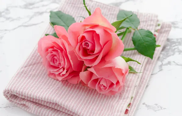 Picture flowers, table, roses, towel, bouquet, pink, trio, light background, composition, salmon