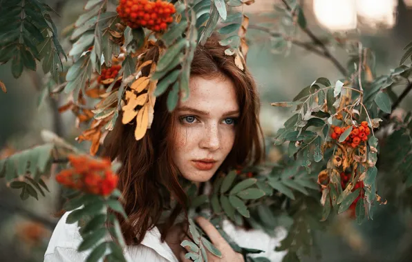Picture look, leaves, girl, branches, face, berries, portrait, freckles, red, Rowan, freckled, Oleg Kovalenko