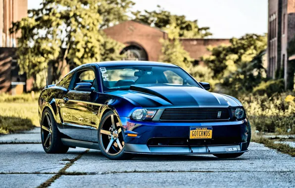 Picture Mustang, Ford, Ford Mustang