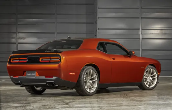Picture Dodge, Challenger, rear view, 50th Anniversary Edition, 2019