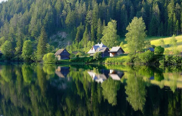 Picture forest, lake, reflection, home, houses, pond