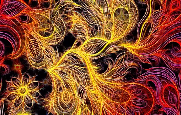 Picture abstraction, fantasy, black background, screensaver on your desktop, fractal picture, fiery shades, "feather of the …