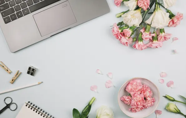 Picture flowers, style, pencil, laptop, clove