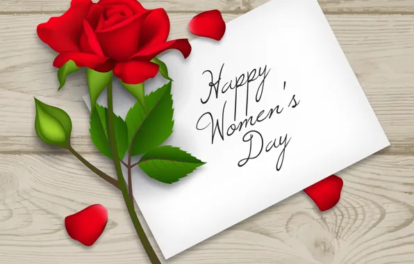 Picture red, rose, red rose, happy, flower, March 8, women's day, 8 march, women's day