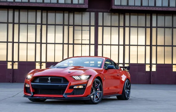 Picture Mustang, Ford, Shelby, GT500, beauty, power, exterior, 2022