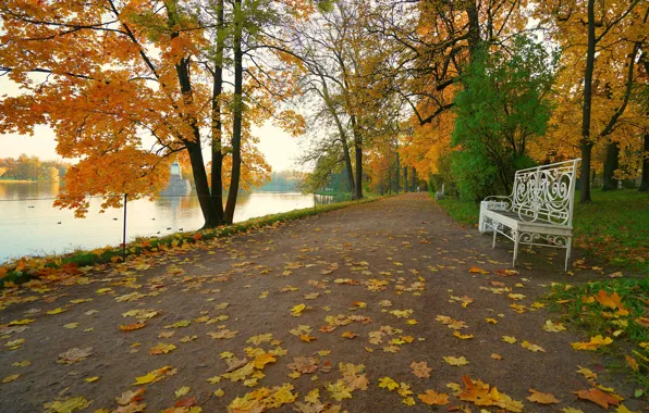 Picture road, autumn, trees, bench, lake, pond, Park, branch, shore, foliage, shop, alley, falling leaves, pond
