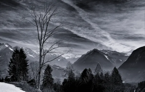 Picture winter, the sky, clouds, snow, trees, mountains, nature, rocks, black & white, black and white, …