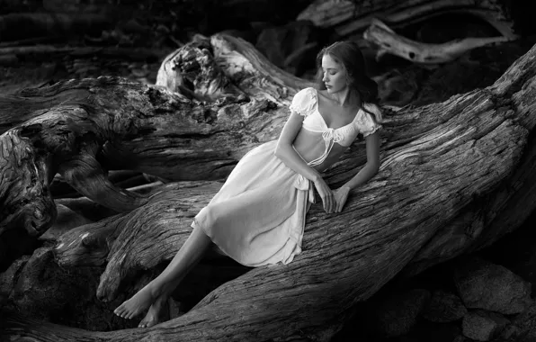 Picture girl, pose, the dark background, tree, feet, skirt, snag, log, sitting, monochrome, black and white …