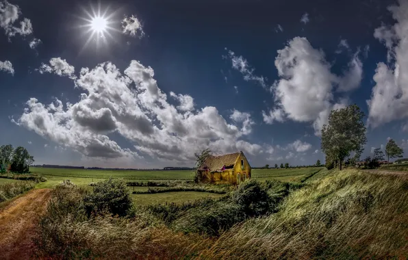 Picture field, summer, the sky, house