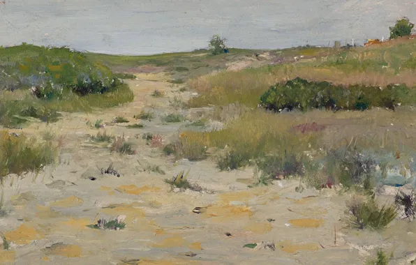 Picture landscape, picture, William Chase, William Merritt Chase, View Shinnecock Hills