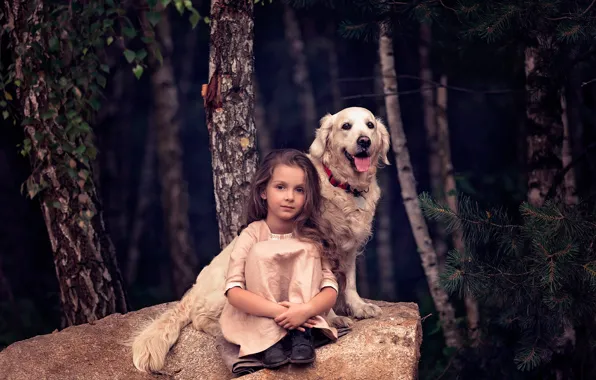 Picture forest, trees, stone, dog, girl, friends