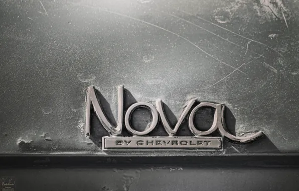 Picture Chevrolet, Logo, Nova, Macro, Nameplate