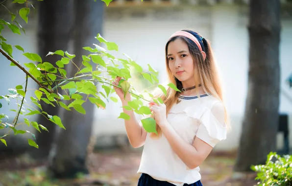Picture look, leaves, girl, branch, Asian
