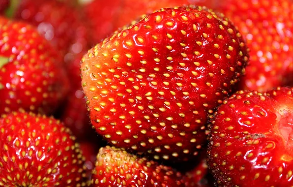 Picture macro, berries, strawberry, red
