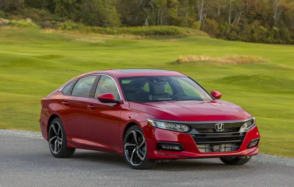 Picture red, lawn, Honda, Accord, sedan, 2018, four-door, 2.0T Sport