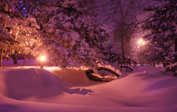 Picture winter, snow, trees, nature, Park, the evening, lighting, lights, the bridge
