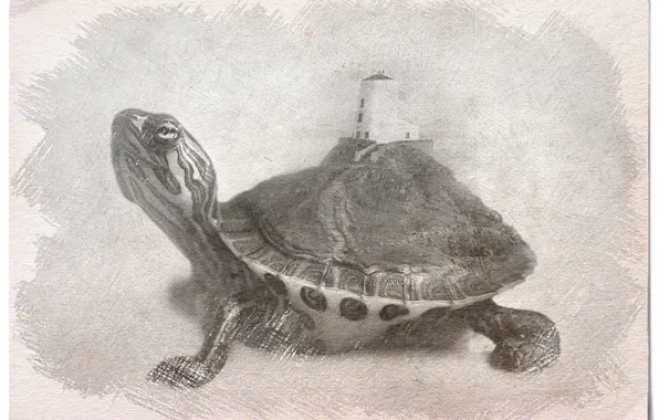 Picture figure, turtle, image, illusion, black and white picture, picture a simple pencil