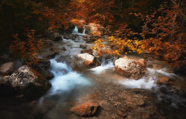 Picture autumn, forest, nature, stream, stones, waterfall, Алексей Никонов