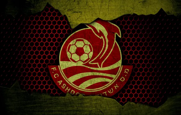 Picture wallpaper, sport, logo, football, Moadon Sport Ashdod