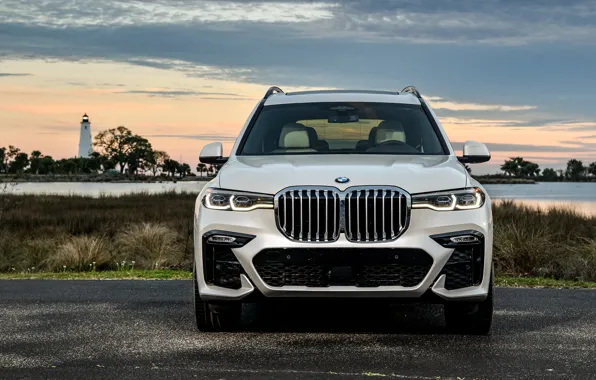 Picture the evening, BMW, M Sport, 2019, BMW X7, XDrive50i, G07
