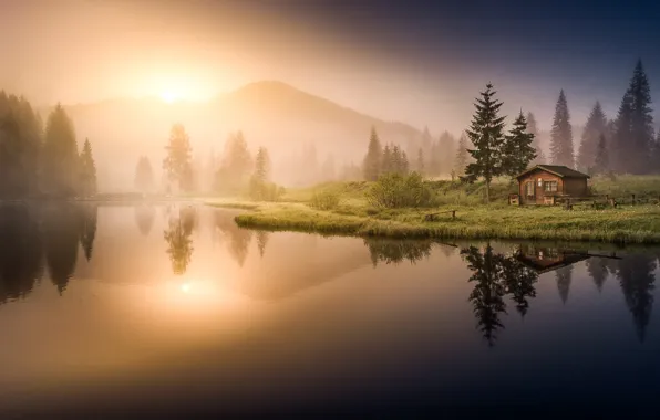 Picture forest, water, trees, mountains, fog, lake, reflection, dawn, morning, house