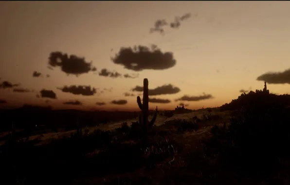 Picture HDR, Nature, Horizon, Landscape, Game, Desert, Cactus, Xbox One S, Red Dead Redemption 2, RDR2, …
