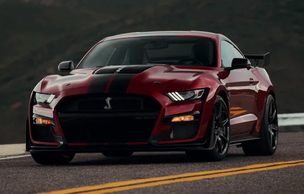 Picture markup, Mustang, Ford, Shelby, GT500, bloody, 2019